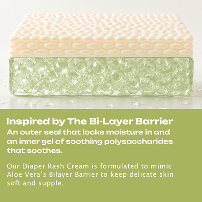 BioMimic Diaper Rash Cream - Zinc Oxide and Ceramide Formula