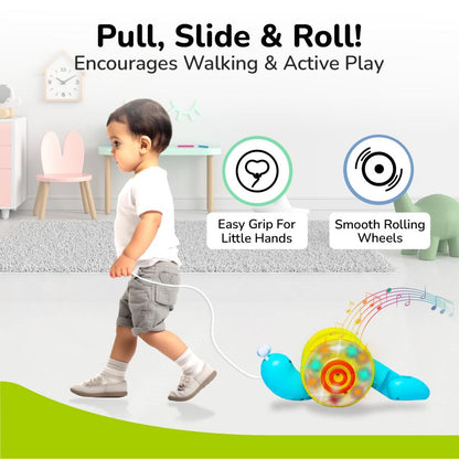 Orapple Snail Tune BPA-Free Musical Pull Toy for Kids with Lights & Music - Blue Yellow