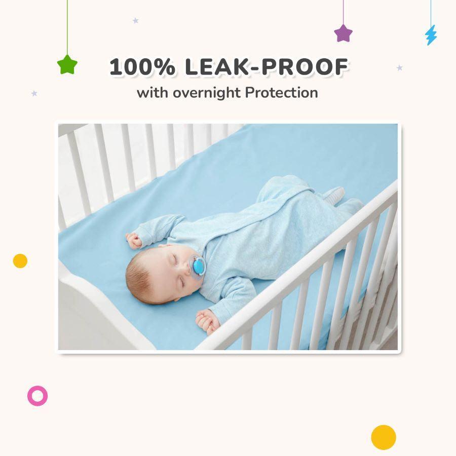 Dry Nap Bliss Premium Pee Protector Sheet