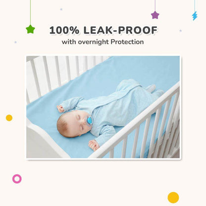 Dry Nap Bliss Premium Pee Protector Sheet