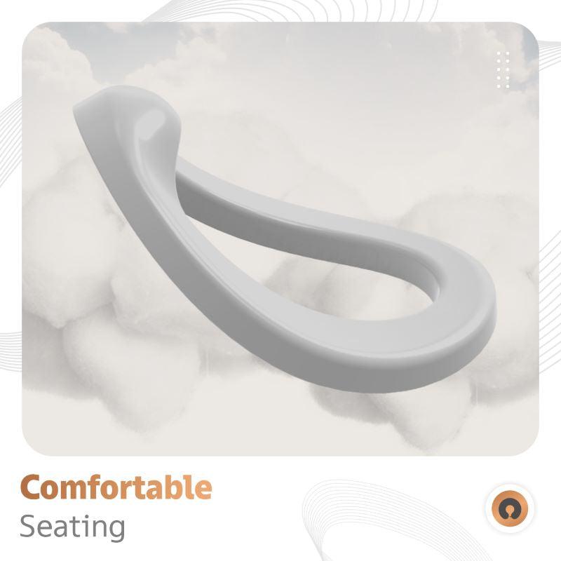 Regal Potty Training Seat for Baby Safe, Comfortable, and Premium